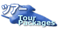 Packaged tour pbP[WcA[